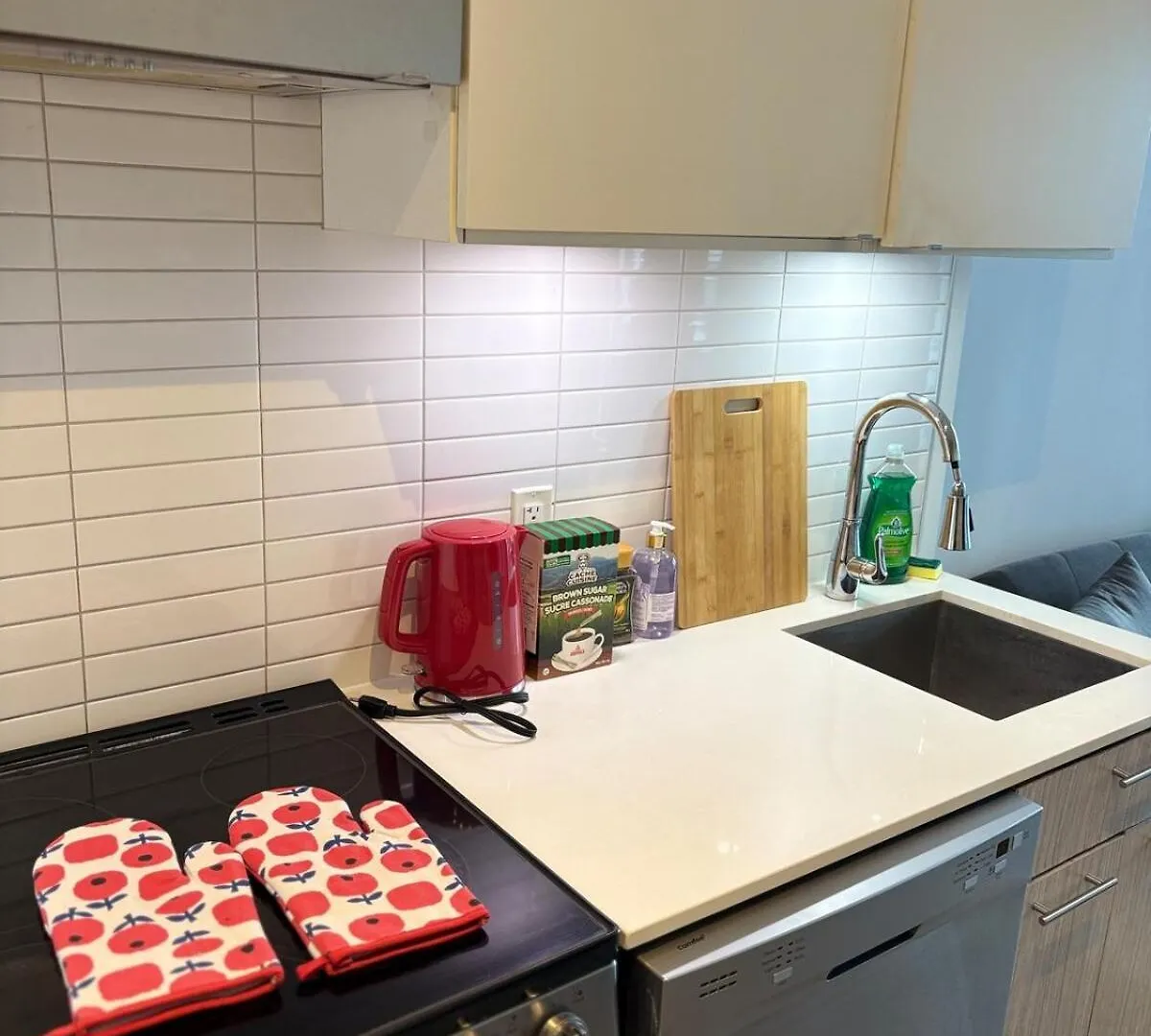 Amazing 2 Bedroom Condo 3 Beds 1 Bath Dundas Square Toronto 0*,  Canada